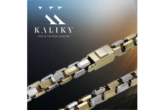 Dviejų spalvų 14k Gold unikali inkaro grandinėlė naujas modelis Puikus!cc068yw