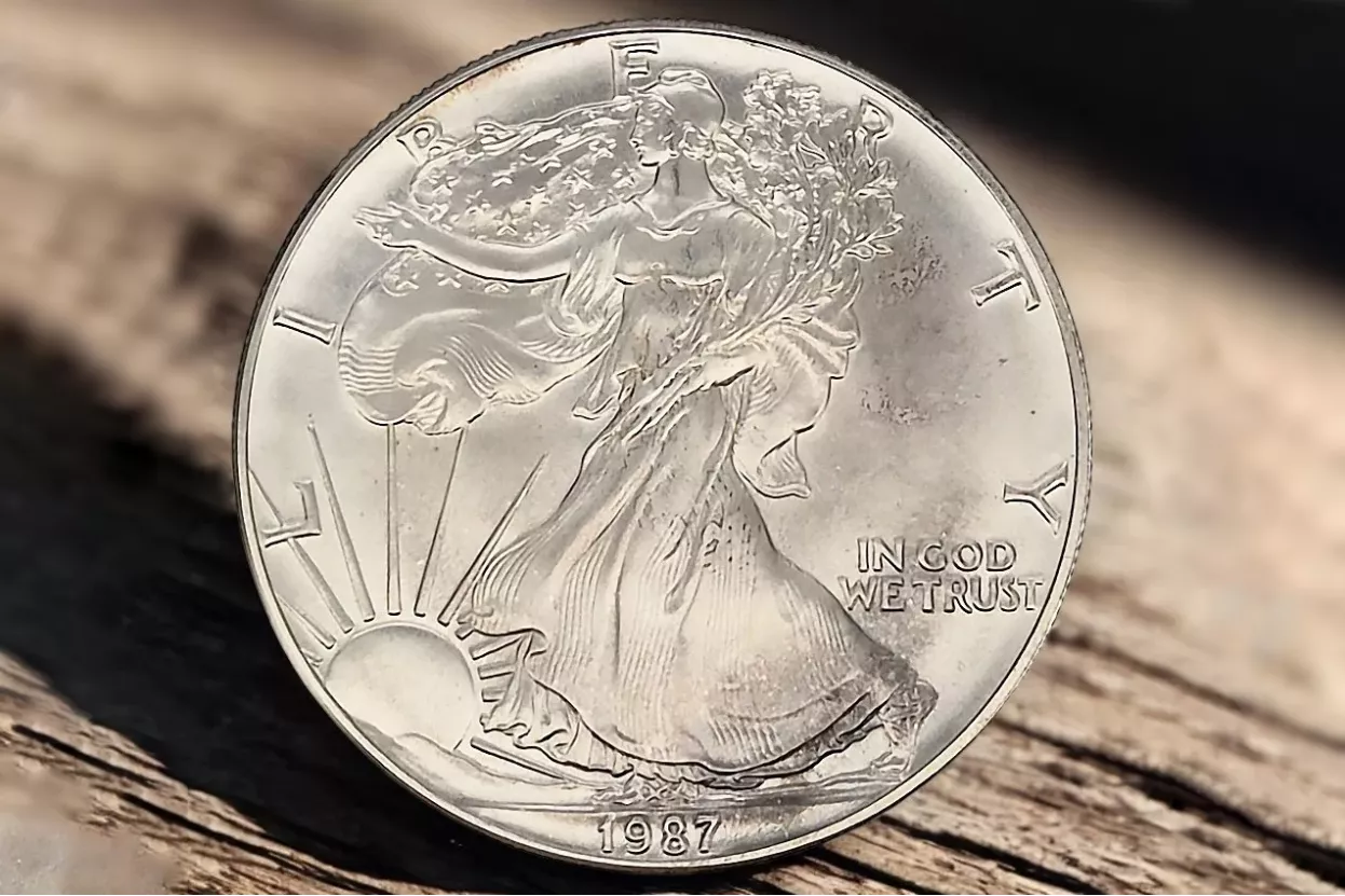 American Eagle 1 oz Silver US Mint Ag.999 voth002