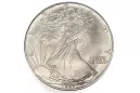 American Eagle 1 Oz 20 $ Silver Moneda SUA Monetă Ag.999 Voth002
