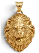 Злато висулка ★ Zlotychlopak.pl ★ злато проба 585 333 ниска цена