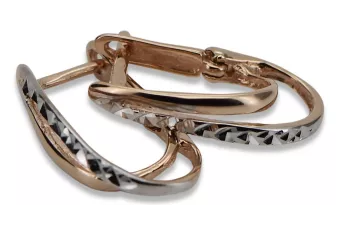 Auksiniai auskariai 14k!