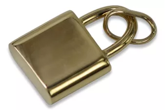 Pandantiv de aur ★ zlotychlopak.pl ★ probă de aur 585 333 preț scăzut