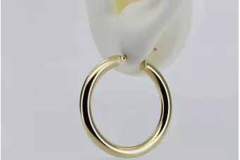 Auksiniai auskariai 14k!