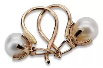 Auksinės auskarinės su perlais