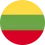 icon language
