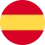 icon language