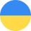 icon language