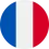 icon language